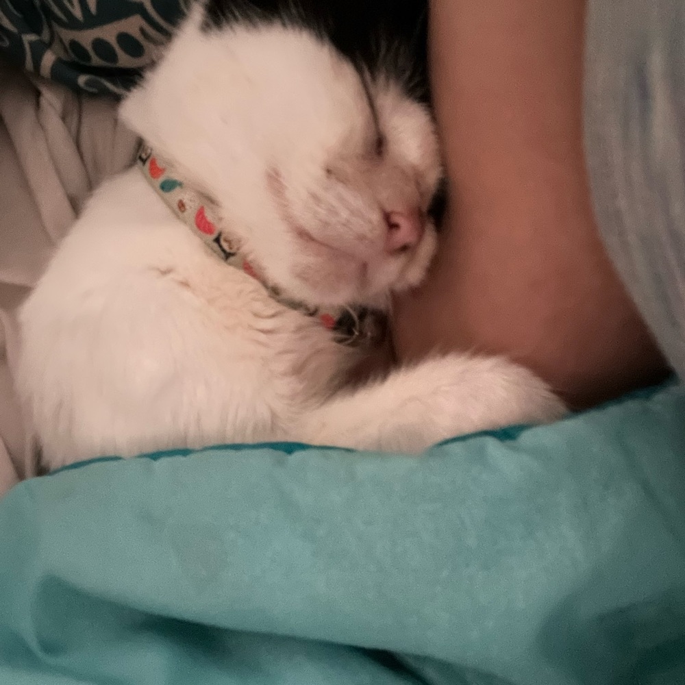 Meet your Posher, Lillian